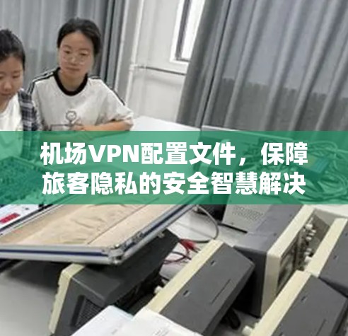 机场VPN配置文件，保障旅客隐私的安全智慧解决方案