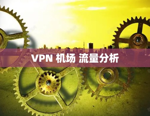VPN 机场 流量分析
