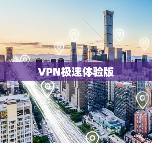 VPN极速体验版