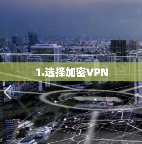 1.选择加密VPN
