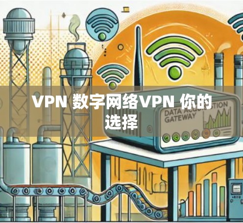 VPN 数字网络VPN 你的选择