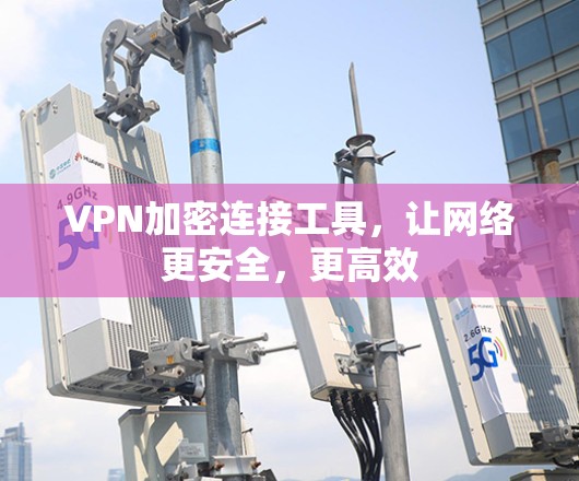 VPN加密连接工具，让网络更安全，更高效