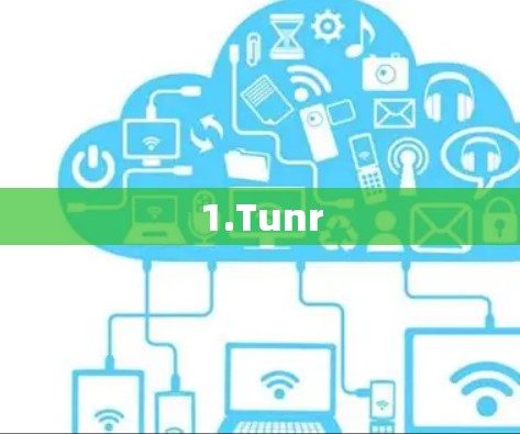 1.Tunr