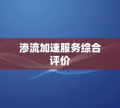渗流加速服务综合评价