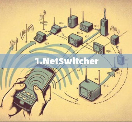 1.NetSwitcher