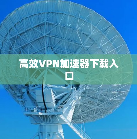 高效VPN加速器下载入口