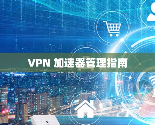 VPN 加速器管理指南