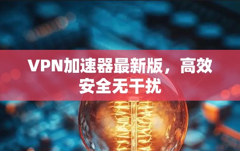 VPN加速器最新版，高效安全无干扰