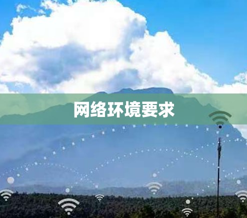 网络环境要求
