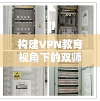 构建VPN教育视角下的双师型育人模式，从人才培养的视角切入