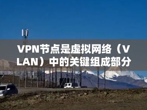 VPN节点是虚拟网络（VLAN）中的关键组成部分，负责处理VPN连接的设置和管理。以下是关于VPN节点的详细解释