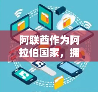 阿联酋作为阿拉伯国家，拥有丰富的能源资源和良好的基础设施，非常适合用于VPN节点的部署。以下是一些阿联酋地区的VPN节点情况