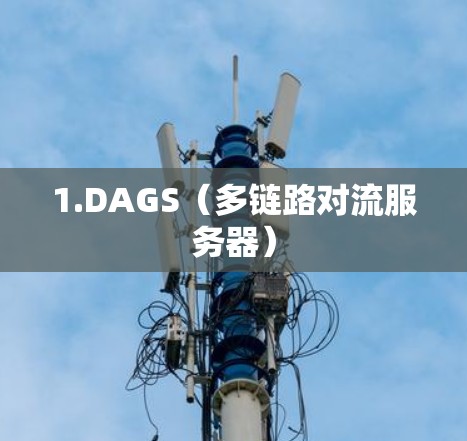 1.DAGS（多链路对流服务器）