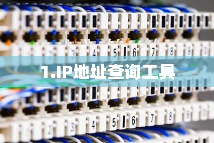 1.IP地址查询工具 1.IP地址查询工具