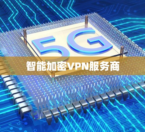 智能加密VPN服务商