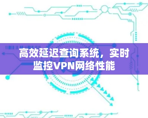 高效延迟查询系统，实时监控VPN网络性能