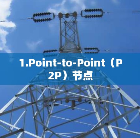 1.Point-to-Point（P2P）节点