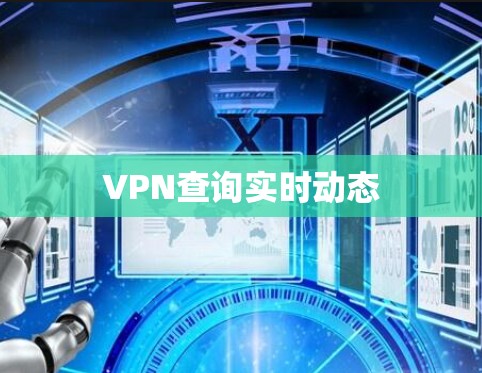 VPN查询实时动态