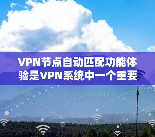 VPN节点自动匹配功能体验是VPN系统中一个重要的组成部分，旨在自动识别用户并为用户提供相应的VPN节点，以确保安全和效率。以下是对该功能体验的详细描述