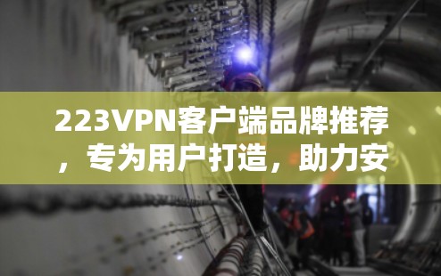 223VPN客户端品牌推荐,专为用户打造,助力安全与便捷 223VPN客户端品牌推荐,专为用户打造,助力安全与便捷