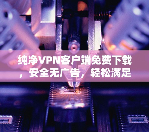 纯净VPN客户端免费下载，安全无广告，轻松满足需求