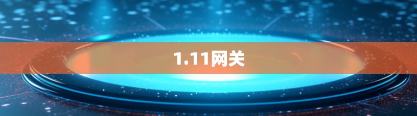 1.11网关