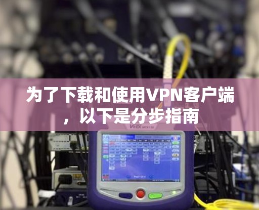 为了下载和使用VPN客户端，以下是分步指南