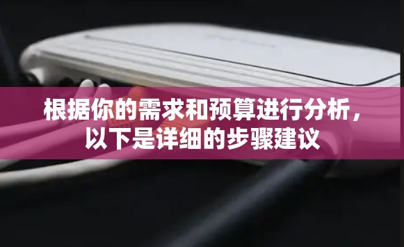根据你的需求和预算进行分析，以下是详细的步骤建议