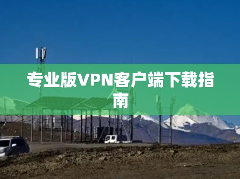 专业版VPN客户端下载指南