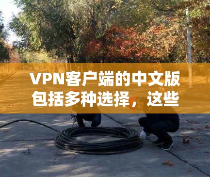 VPN客户端的中文版包括多种选择,这些客户端以简洁的文字界面和全面的功能设计吸引用户。以下是几种常见的中文版VPN客户端 VPN客户端的中文版包括多种选择,这些客户端以简洁的文字界面和全面的功能设计吸引用户。以下是几种常见的中文版VPN客户端