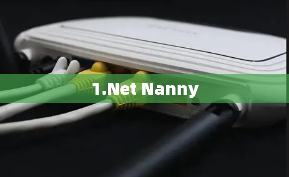 1.Net Nanny