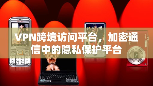 VPN跨境访问平台，加密通信中的隐私保护平台