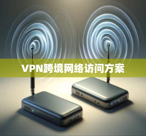 VPN跨境网络访问方案