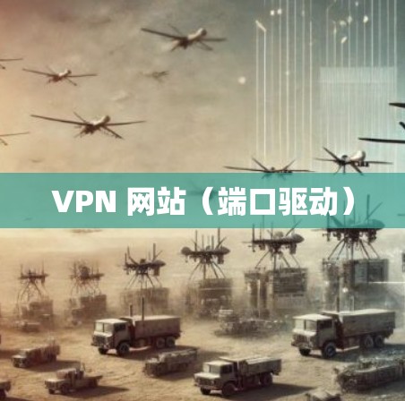 VPN 网站（端口驱动）