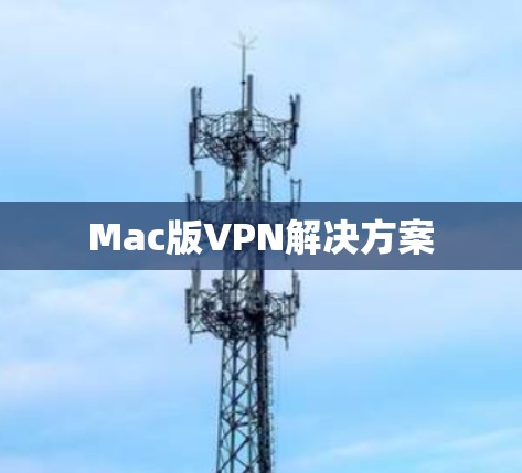 Mac版VPN解决方案