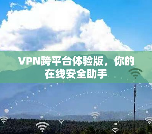 VPN跨平台体验版，你的在线安全助手