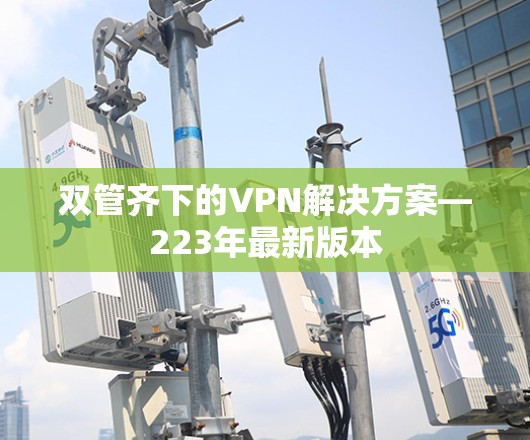 双管齐下的VPN解决方案—223年最新版本