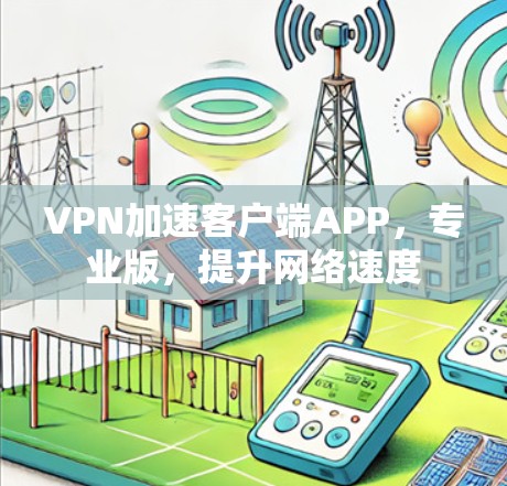 VPN加速客户端APP，专业版，提升网络速度