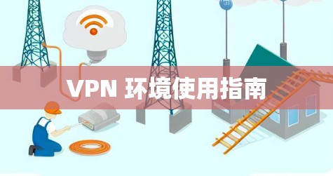 VPN 环境使用指南