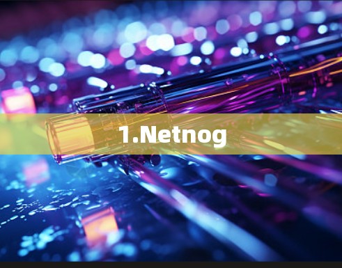 1.Netnog 1.Netnog