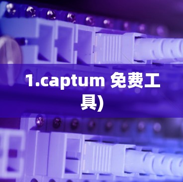 1.captum 免费工具)
