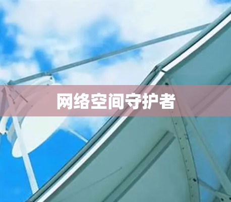 网络空间守护者