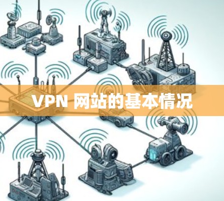 VPN 网站的基本情况