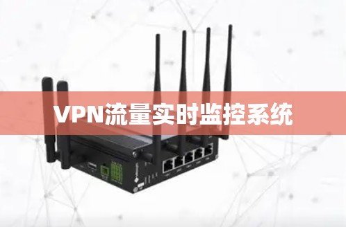 VPN流量实时监控系统