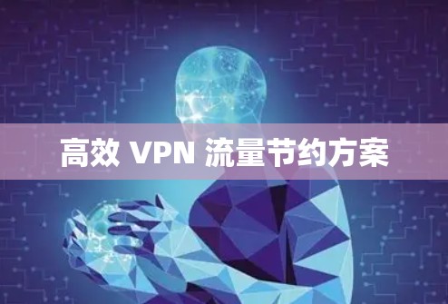 高效 VPN 流量节约方案