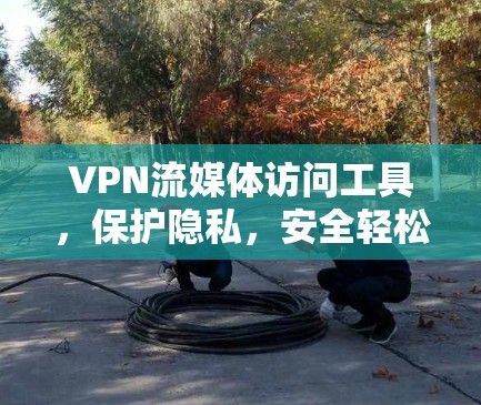 VPN流媒体访问工具，保护隐私，安全轻松