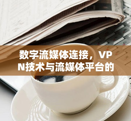 数字流媒体连接，VPN技术与流媒体平台的深度融合