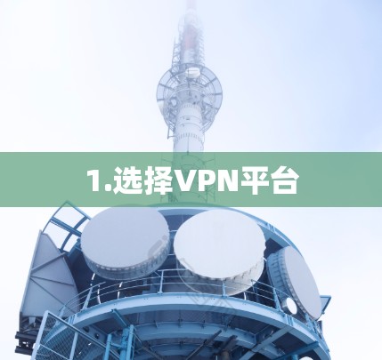 1.选择VPN平台