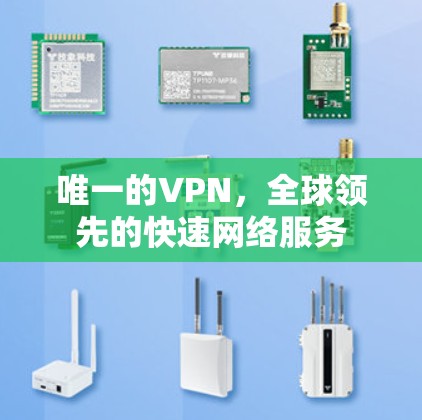 唯一的VPN，全球领先的快速网络服务
