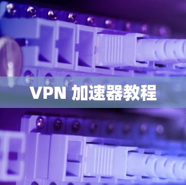 VPN 加速器教程